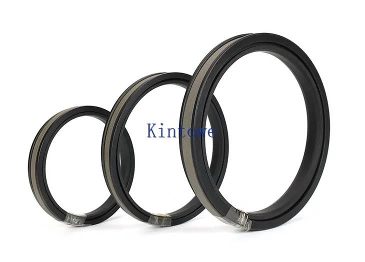 Sigilla del pistone a doppia recitazione compatta